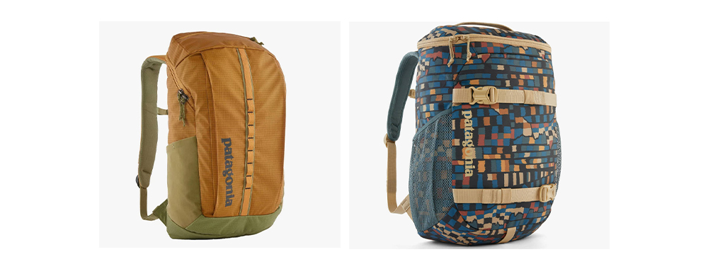Patagonia Backpack
