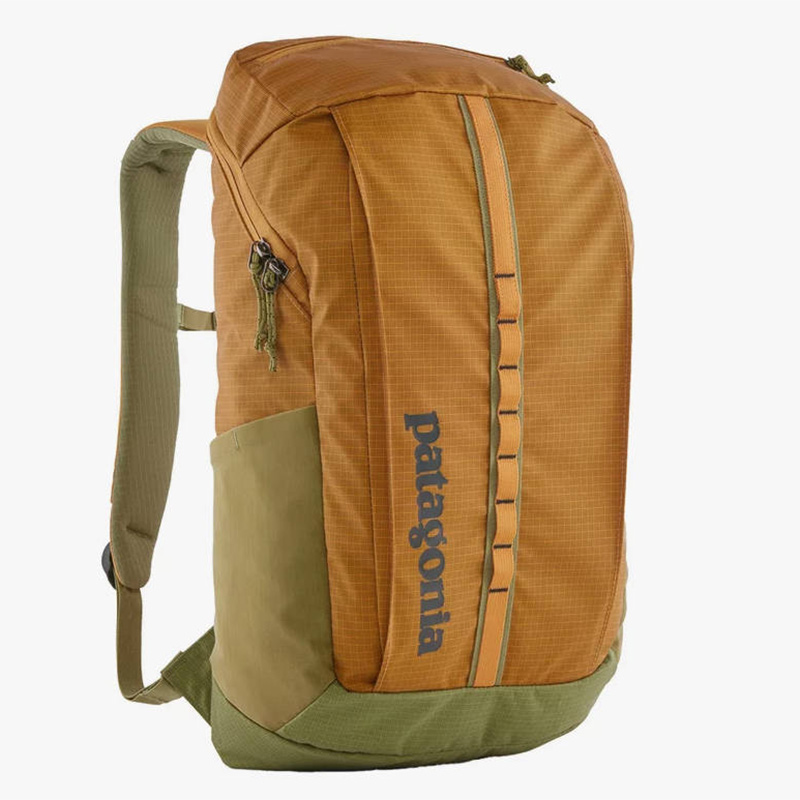 Top Backpack Industry Giants and What Sets Them Apart